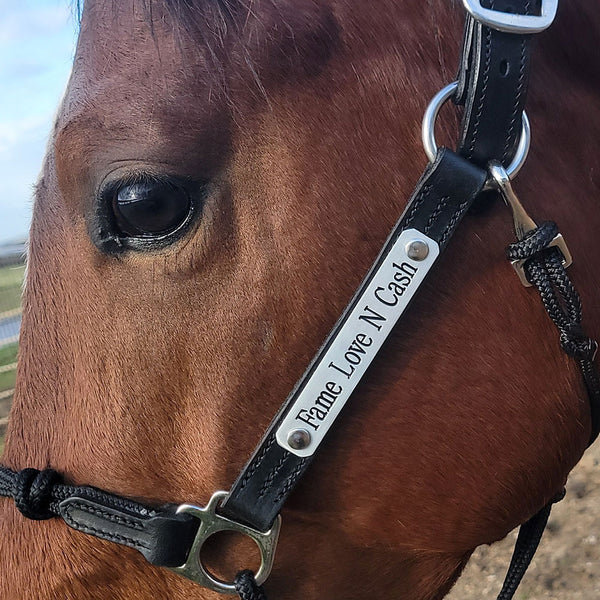 One Line Halter Nameplates - Stainless
